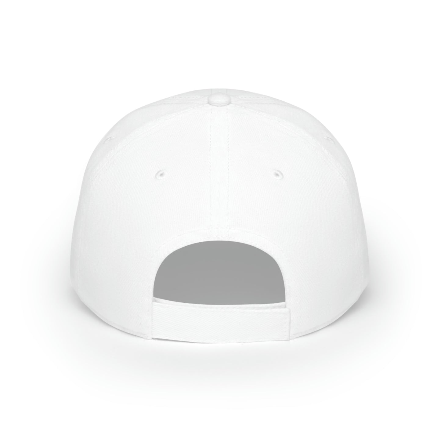 DIG PTB Low Profile Baseball Cap